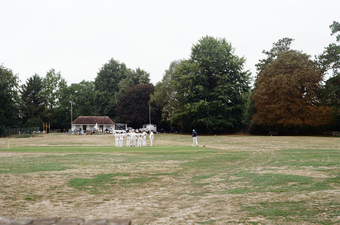 Cricket Field Positions Guide